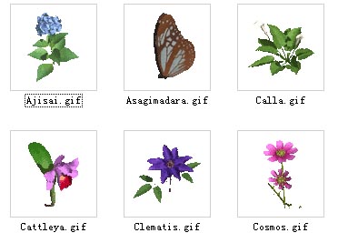 3dPlant 3D-Modell / Blumen  1-18