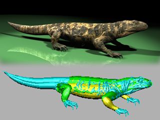 Download Kostenlose 3D-Modelle!