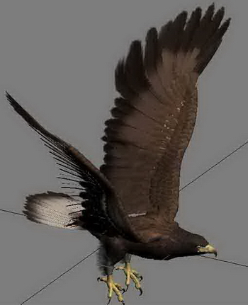 Soaring Eagle 3D-Modelle