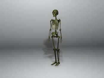 3D-Modelle