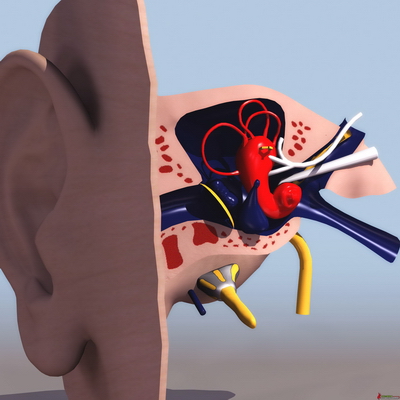 3D-Modelle