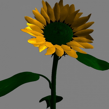Blumen, 3D-Modellen