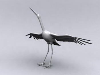 3D-Modelle