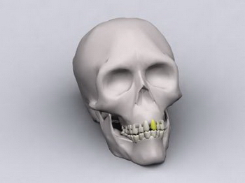 3D-Modelle