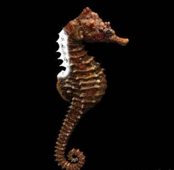 3D-Modelle