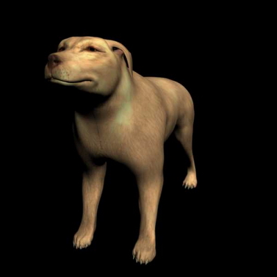 3D-Modelle
