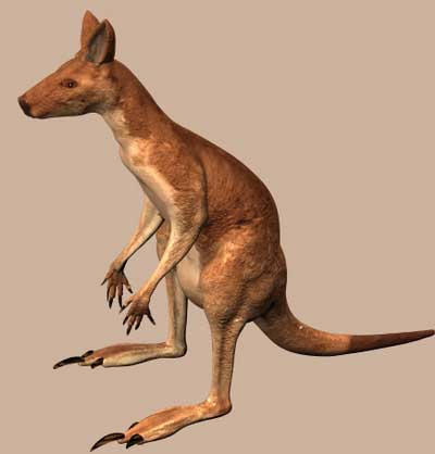 3D-Modelle