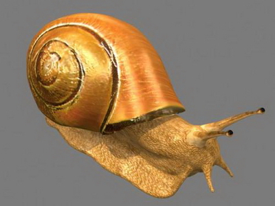 3D-Modelle