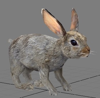 3D-Modelle