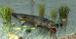 3D-Tiere - Krokodil