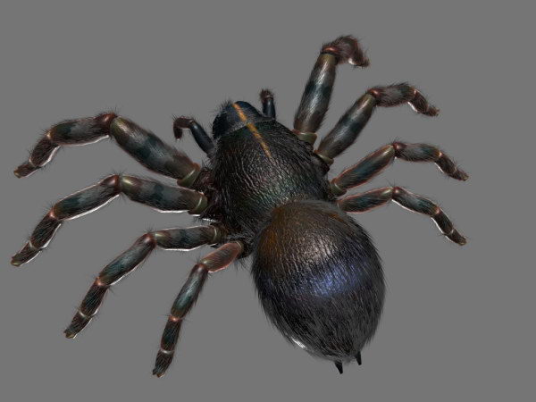 3D-Modell von Black Ants
