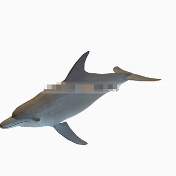 Netter Delphin 3D-Modelle