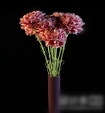 Rote Blumen Schmuck 3D-Modell