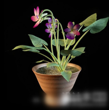 Indoor Bonsai-3D-Modell