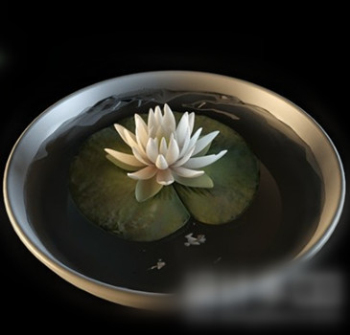 Topfblumen 3D-Modell
