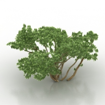 grnen Strauch 3D-Modelle
