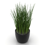 Innentopfmodell Gras