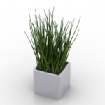 Gras Topfmodell Anlagenmodell