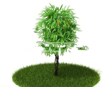 3D-Modelle von Pflanzen rund um den Park