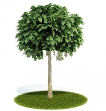Schöne Bäume 3D-Modell