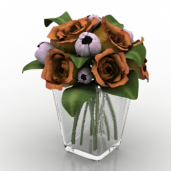 Rose Blume