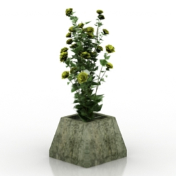 Wildblumen Bonsai 3D-Modelle