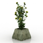 Wildblumen Bonsai 3D-Modelle