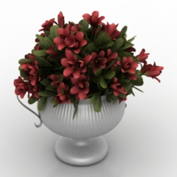 schönes Modell Topfblumen