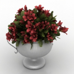 schönes Modell Topfblumen