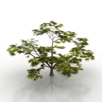 natrliche Vegetation Modell