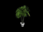 grne 3d - modelle