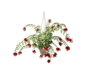 Red rosa Blten Korb-Modell