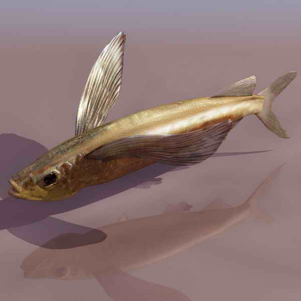 Download Kostenlose 3D-Modelle!