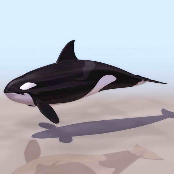Download Kostenlose 3D-Modelle!