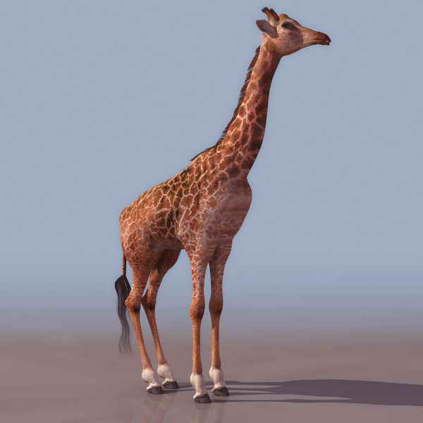 Download Kostenlose 3D-Modelle!