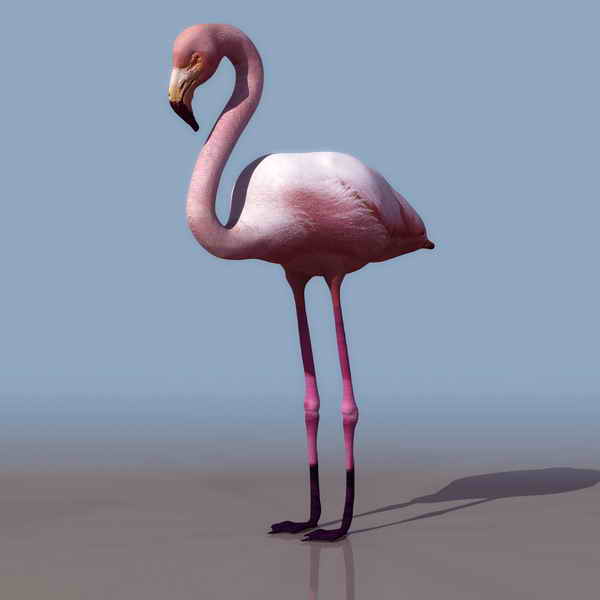 Download Kostenlose 3D-Modelle!