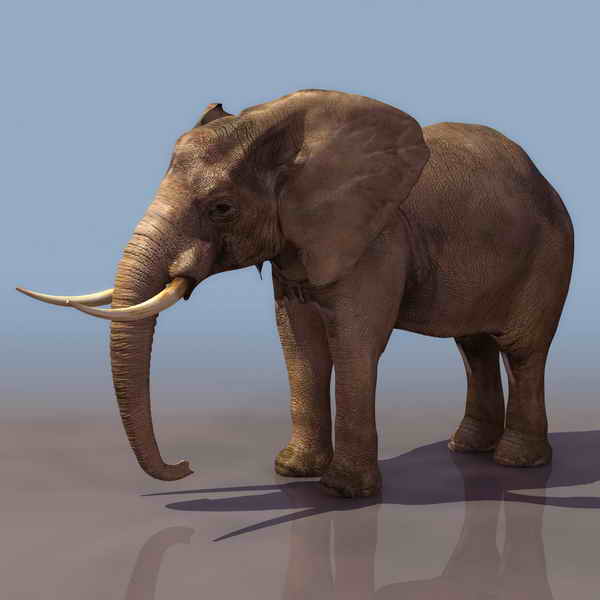 Download Kostenlose 3D-Modelle!