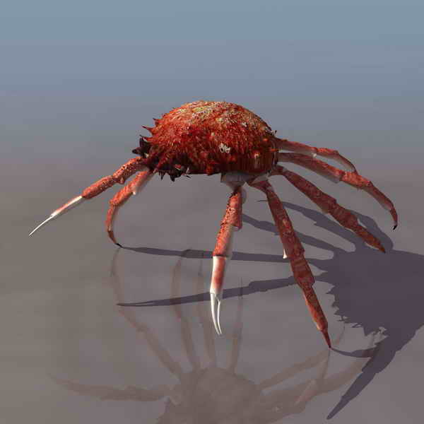 Download Kostenlose 3D-Modelle!