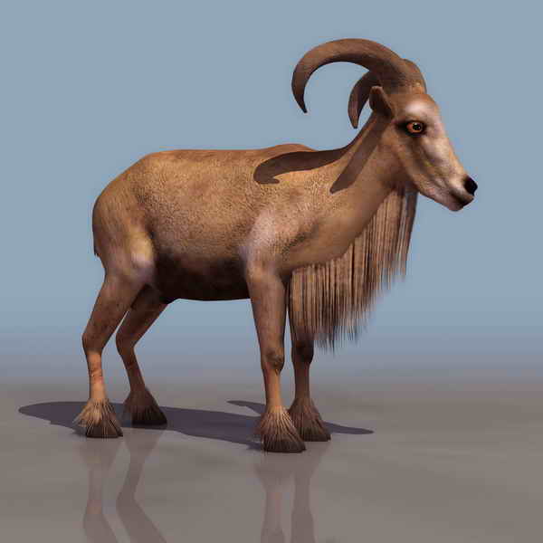 Download Kostenlose 3D-Modelle!