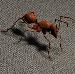 Download Kostenlose 3D-Modelle!