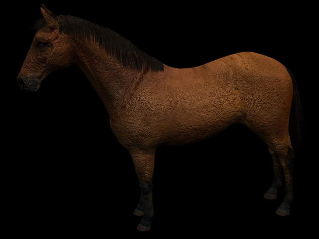 Download Kostenlose 3D-Modelle!