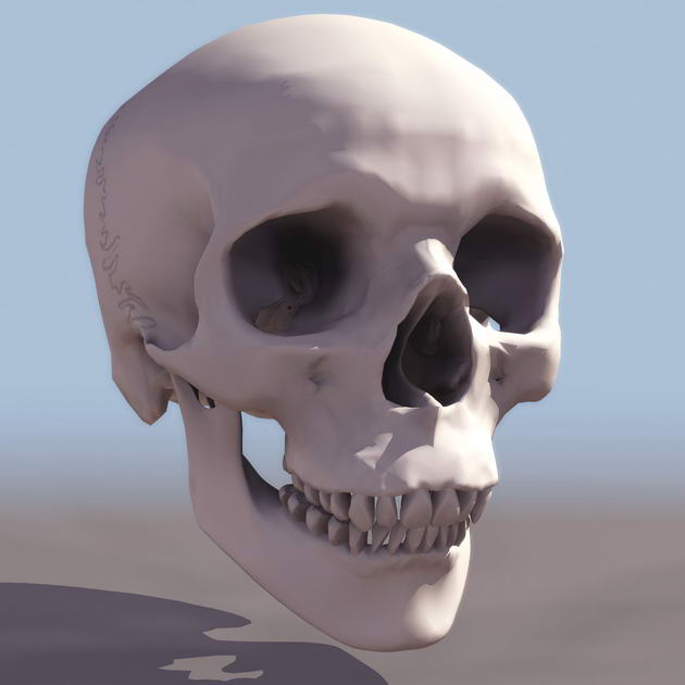 Download Kostenlose 3D-Modelle!