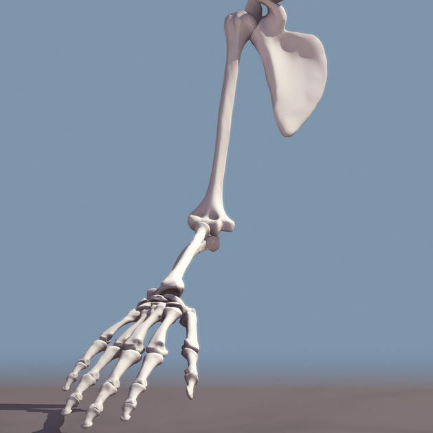 Download Kostenlose 3D-Modelle!