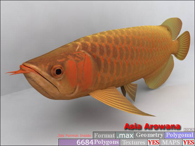 Download Kostenlose 3D-Modelle!