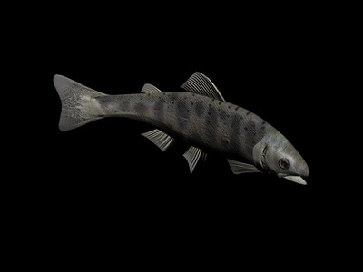 Download Kostenlose 3D-Modelle!