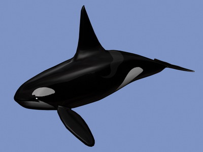 Download Kostenlose 3D-Modelle!