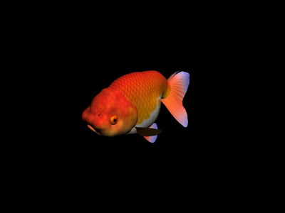 Download Kostenlose 3D-Modelle!