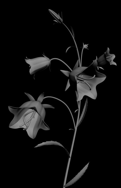 Download Kostenlose 3D-Modelle!