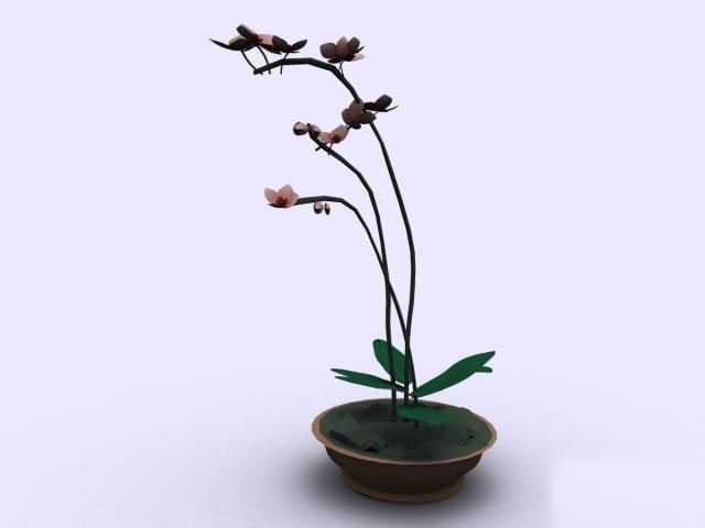 Download Kostenlose 3D-Modelle!