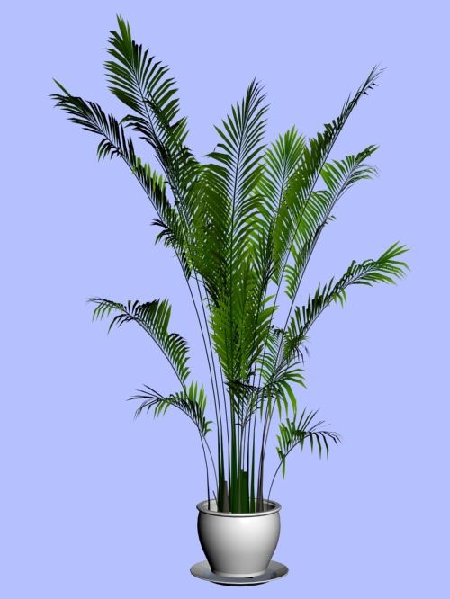 Download Kostenlose 3D-Modelle!
